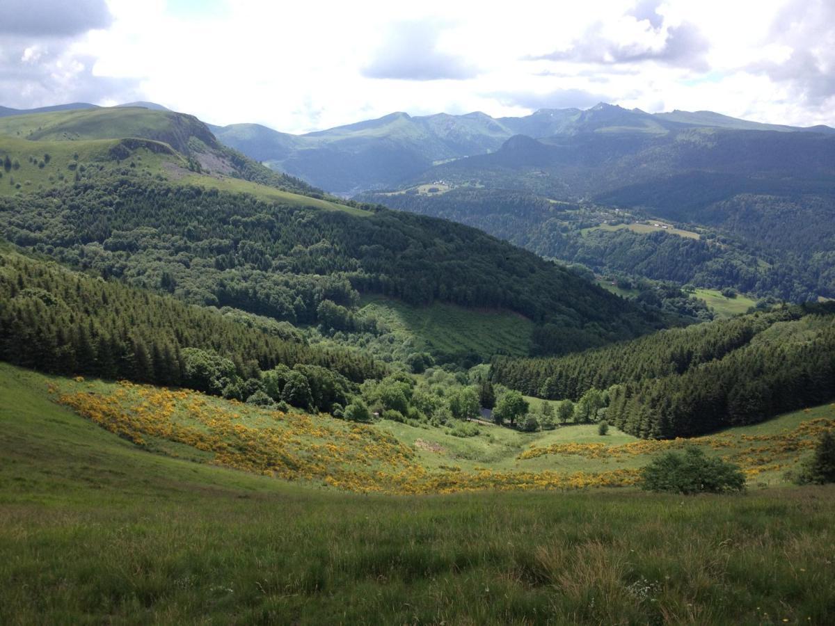 Duplex Superbe Vue Montagne Lejlighed La Bourboule Eksteriør billede