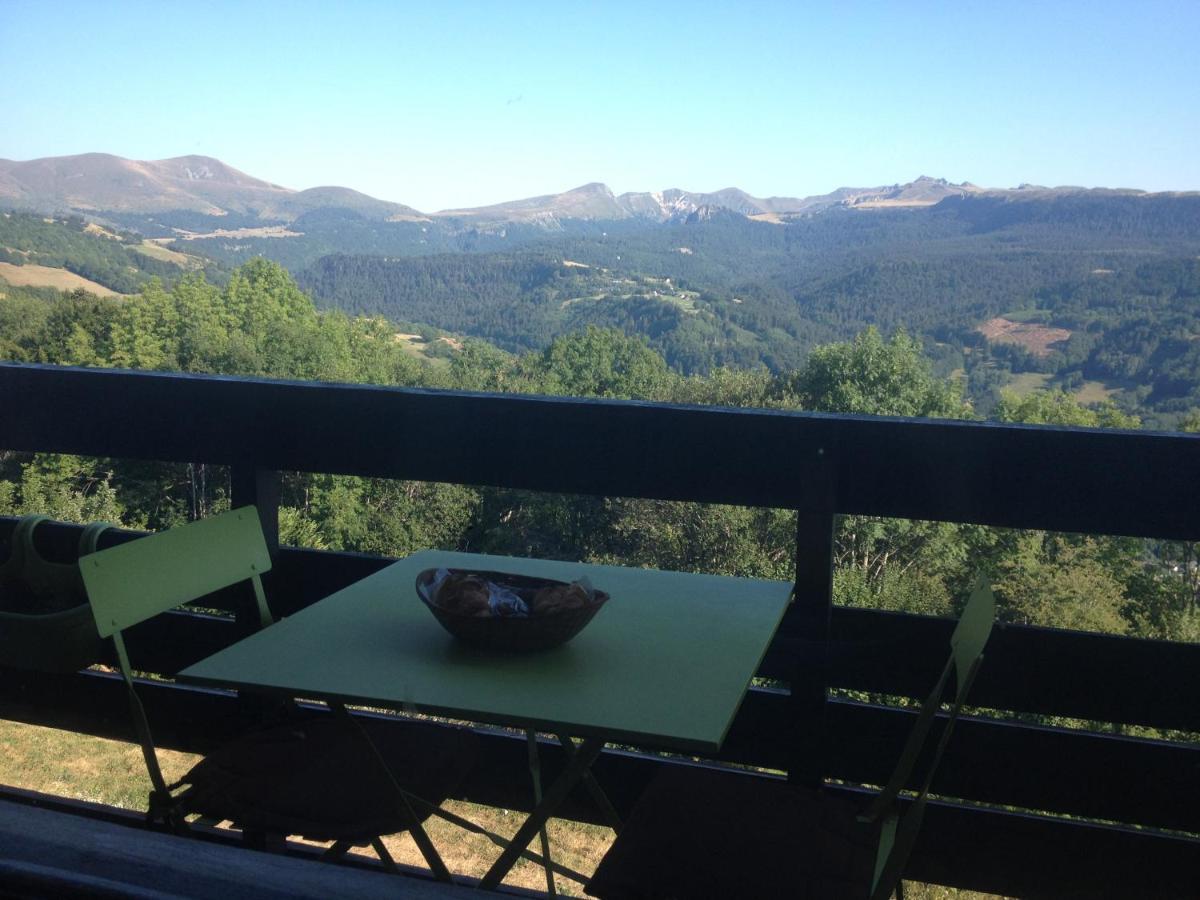 Duplex Superbe Vue Montagne Lejlighed La Bourboule Eksteriør billede