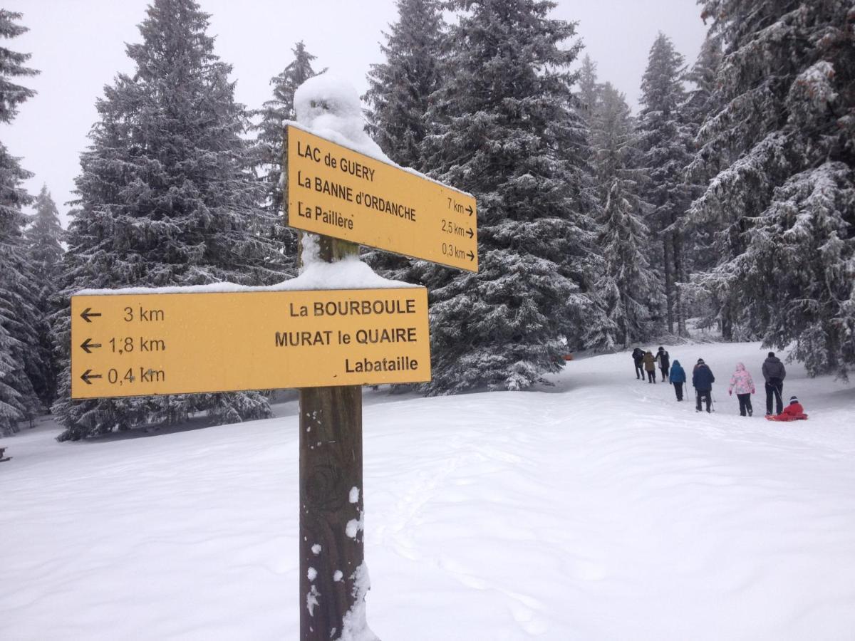Duplex Superbe Vue Montagne Lejlighed La Bourboule Eksteriør billede